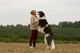 ADULTE ET CHIEN 261